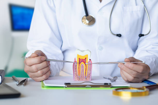 Best Emergency Cosmetic Dentistry in Waterville, ME